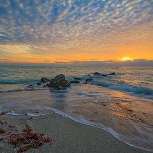 Meet your Posher, Sincere